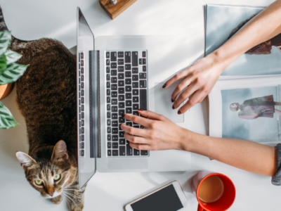 Реальна робота на дому без вкладень та обману (Україна)