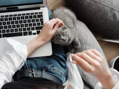 Віддалена робота Україна без досвіду роботи